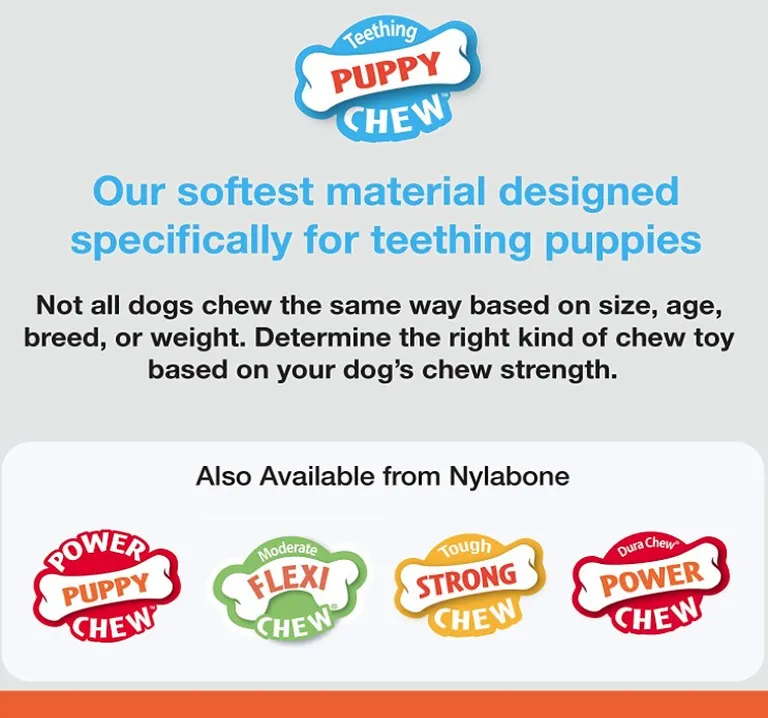 Nylabone Puppy Chew PuppyBone - Chicken Flavor Photo 4