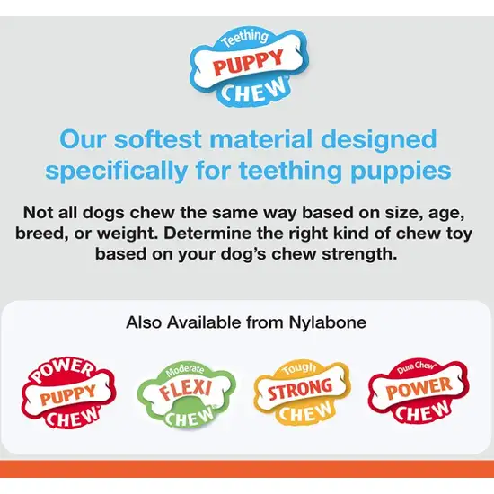 Nylabone Puppy Chew PuppyBone - Chicken Flavor Photo 4