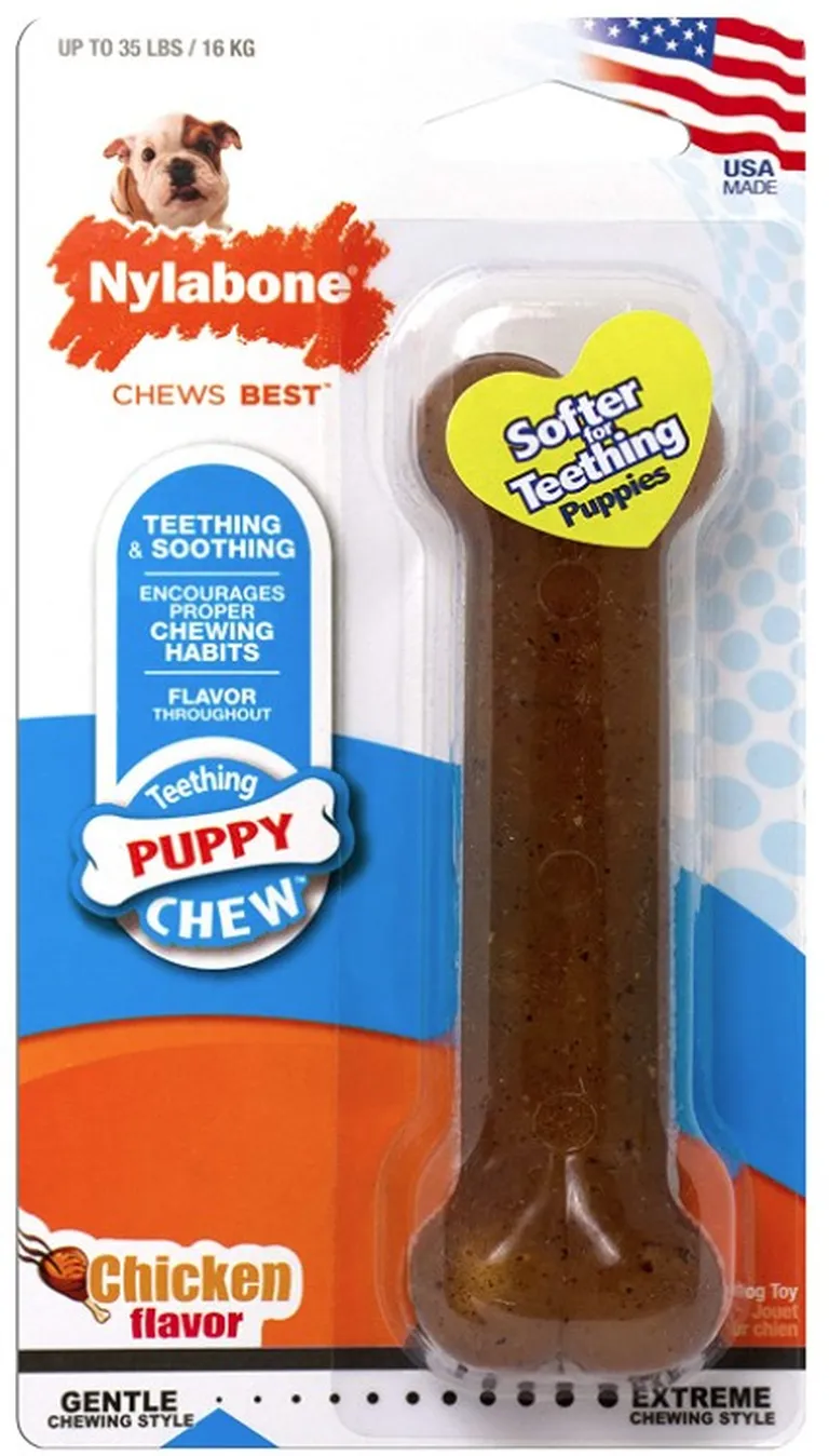 Nylabone Puppy Chew PuppyBone - Chicken Flavor Photo 1