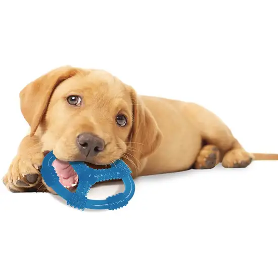 Nylabone Puppy Chew Ring Peanut Butter Toy - Wolf Photo 4