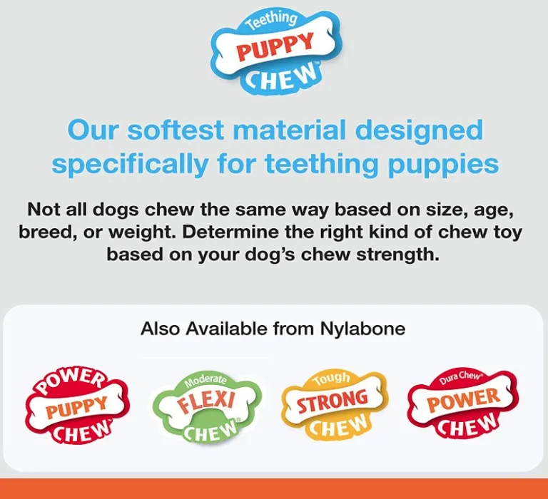 Nylabone Puppy  Chew Teething Pacifier Photo 3