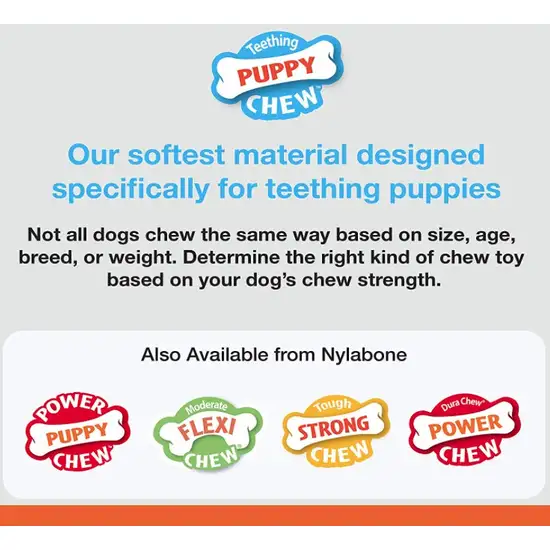 Nylabone Puppy  Chew Teething Pacifier Photo 3