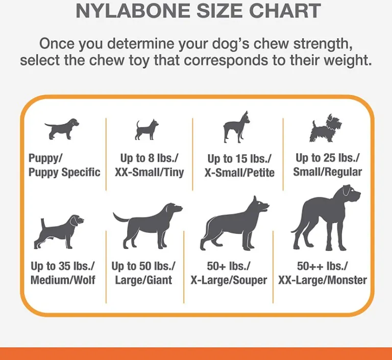 Nylabone Puppy  Chew Teething Pacifier Photo 4
