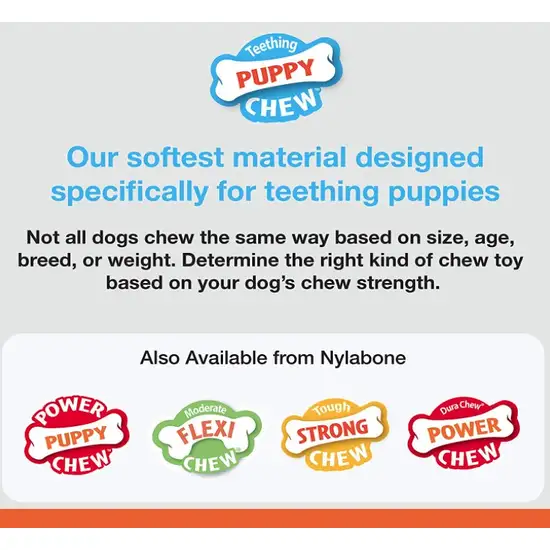 Nylabone Puppy Starter Kit Photo 5