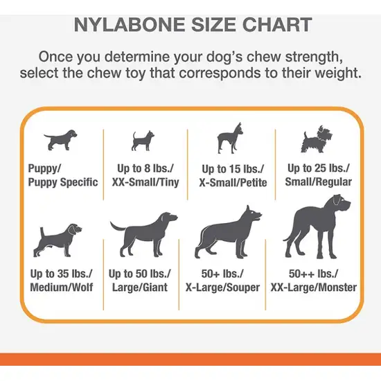 Nylabone Puppy Starter Kit Photo 6