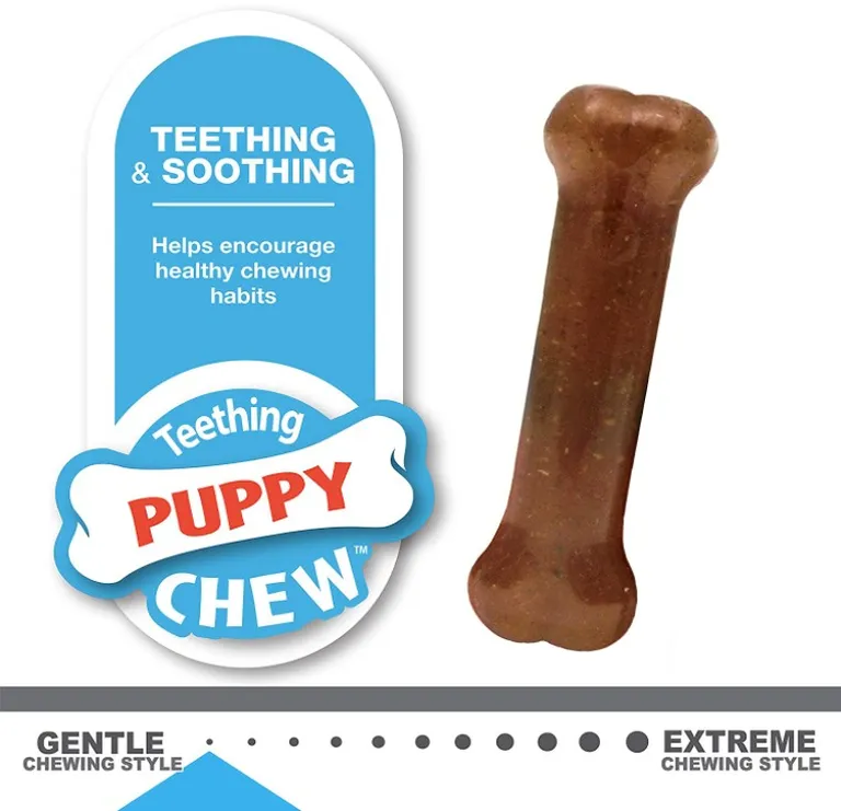 Nylabone Puppy Starter Kit Photo 2