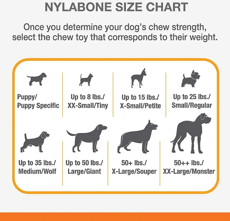 Nylabone Strong MAX Stuffable Chew Cone Toy Beef Flavor Photo 3