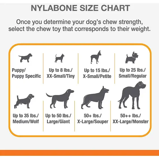 Nylabone Strong MAX Stuffable Chew Cone Toy Beef Flavor Photo 5