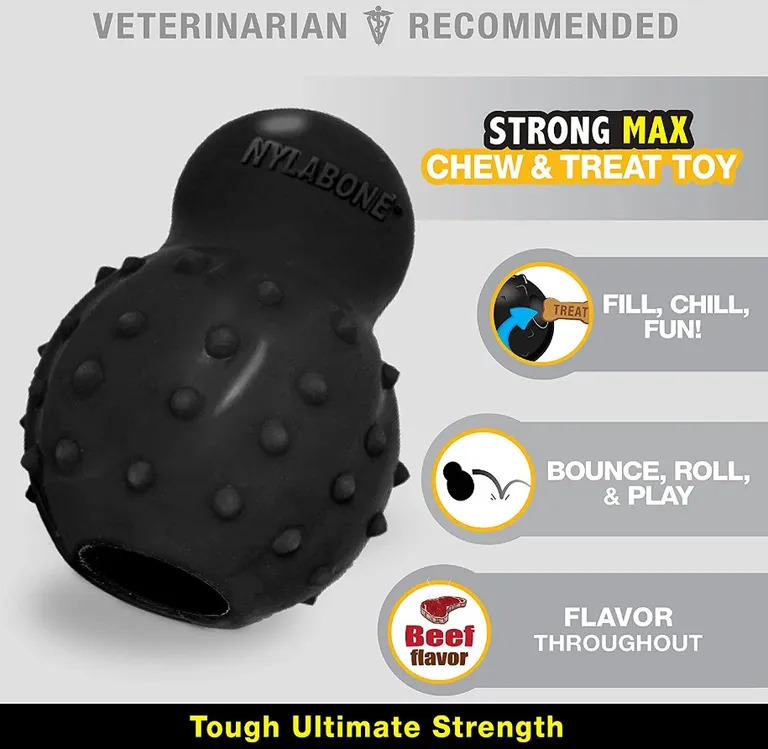 Nylabone Strong MAX Stuffable Chew Cone Toy Beef Flavor Photo 2