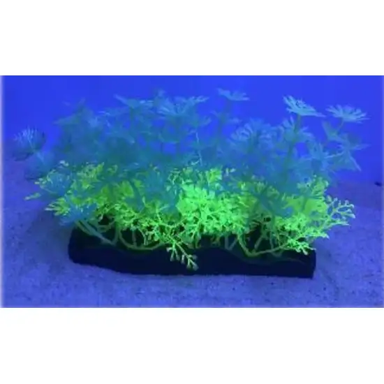 Penn Plax Aqua-Scaping Green Glow Bunch Plant Photo 5