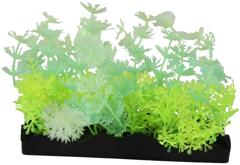 Penn Plax Aqua-Scaping Green Glow Bunch Plant Photo 1