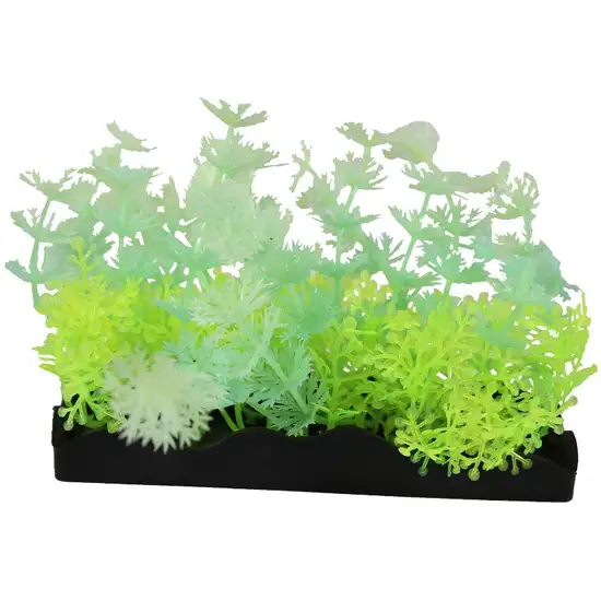 Penn Plax Aqua-Scaping Green Glow Bunch Plant Photo 1