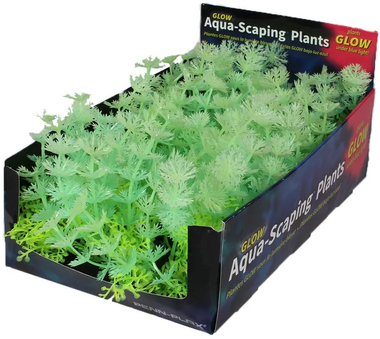 Penn Plax Aqua-Scaping Green Glow Bunch Plant Photo 2