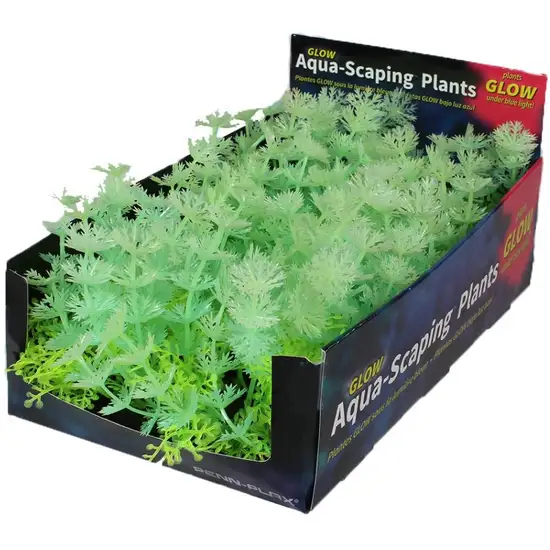 Penn Plax Aqua-Scaping Green Glow Bunch Plant Photo 2