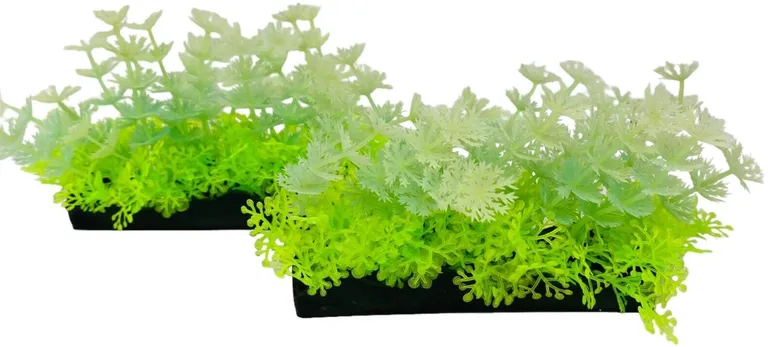 Penn Plax Aqua-Scaping Green Glow Bunch Plant Photo 3