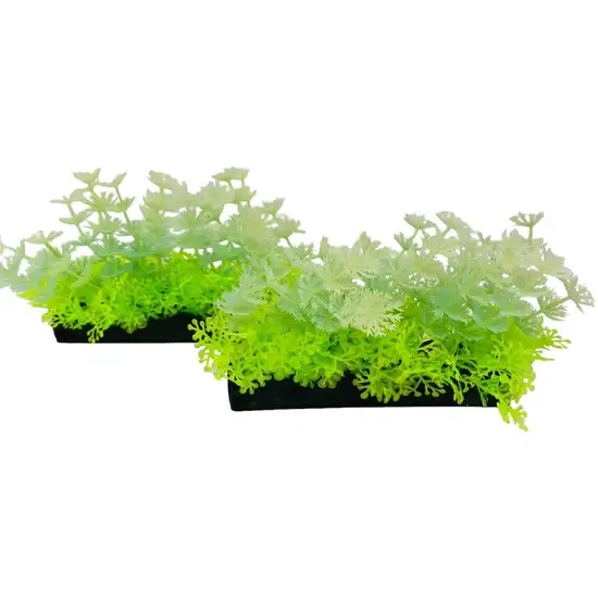 Penn Plax Aqua-Scaping Green Glow Bunch Plant Photo 3