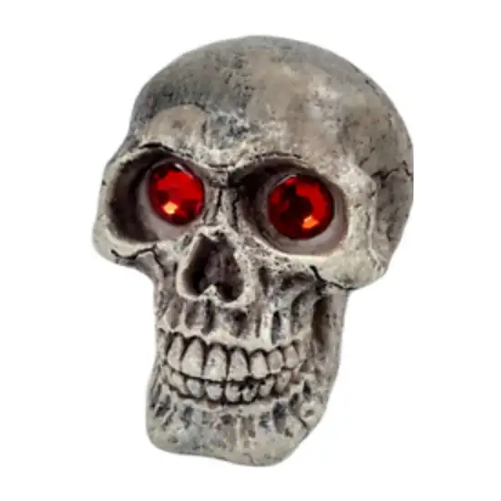 Penn Plax Deco-Replicas Skull Gazer Ornament Assorted Styles Photo 2