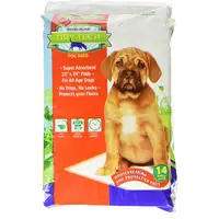 Photo of Penn Plax Dry-Tech Dog and Puppy Training Pads 23