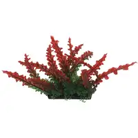 Photo of Penn Plax Red Bunch Plant Large