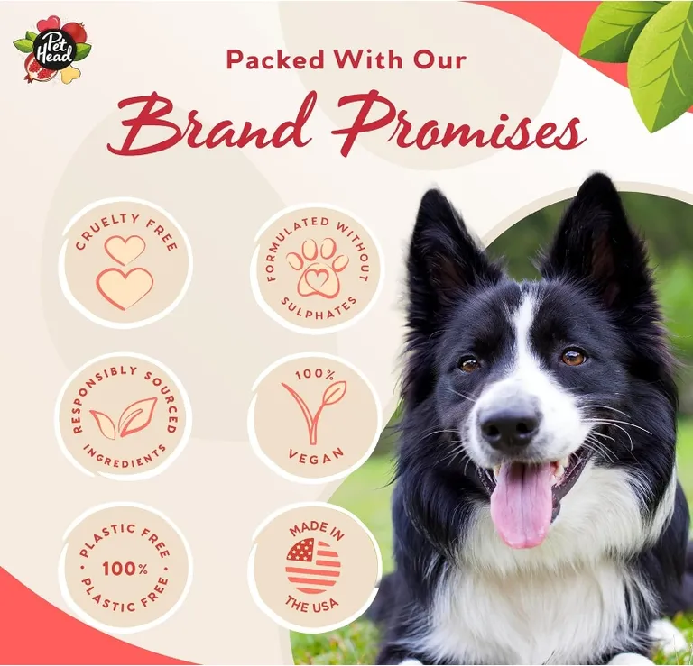 Pet Head Pomegranate Shampoo Bar for Dogs Photo 5