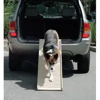 Photo of PetStep Folding Dog Ramp