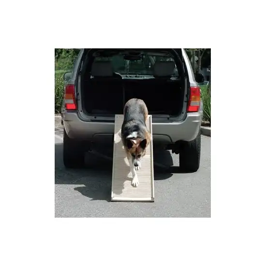 PetStep Folding Dog Ramp Photo 1