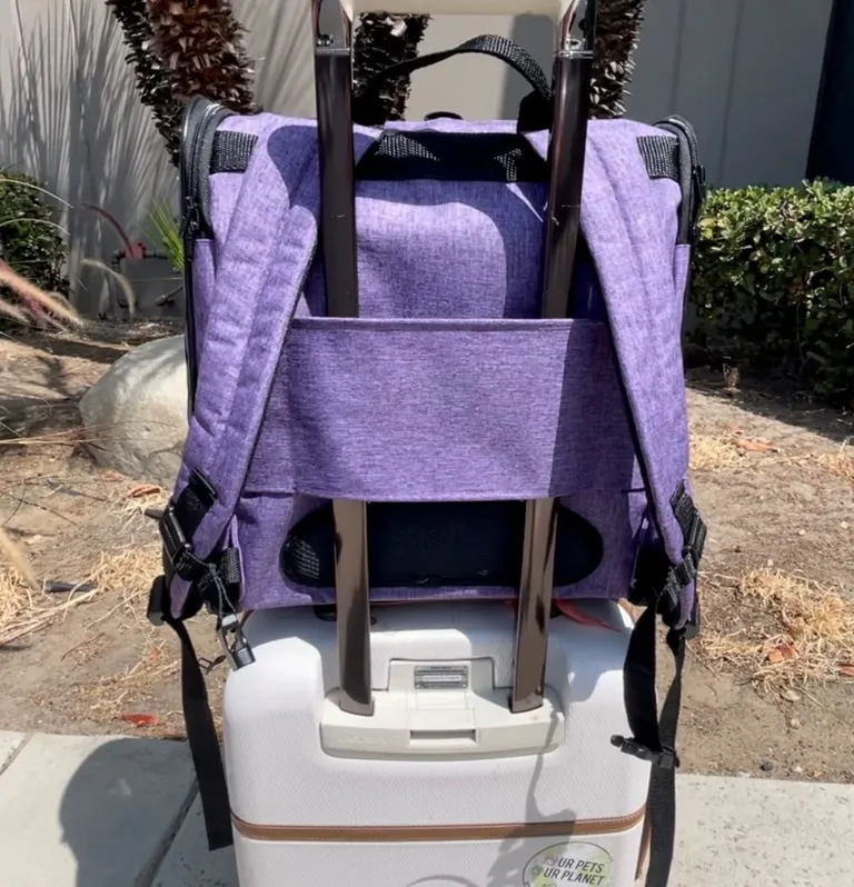 Petique Backpacker Pet Carrier Orchid Photo 5