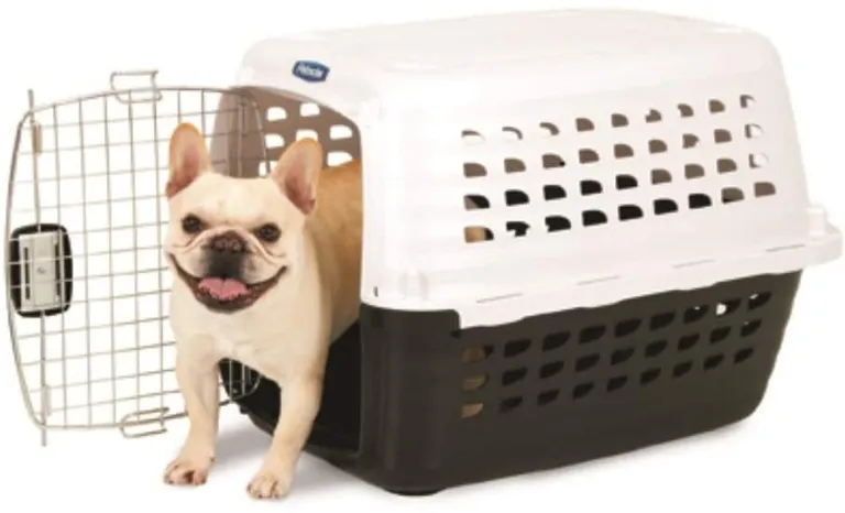 Petmate Compass Kennel - Black & Metalic White Photo 4