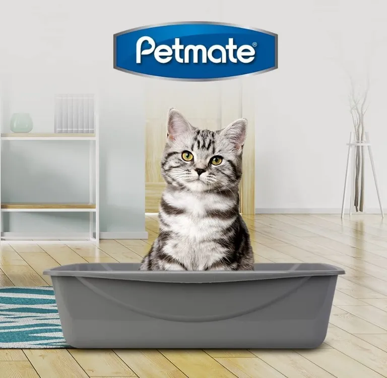 Petmate Litter Pan - Gray Photo 3