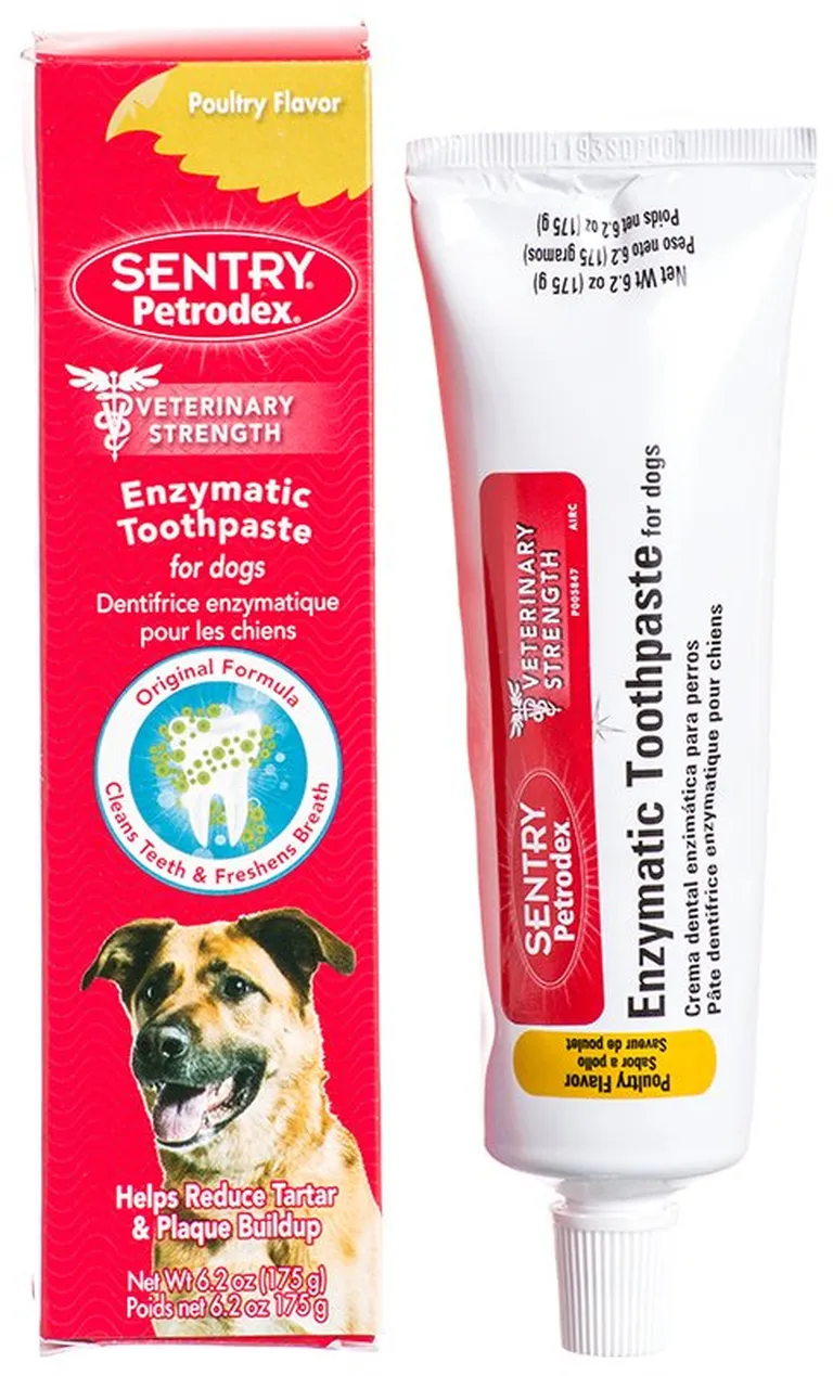 Petrodex Enzymatic Toothpaste for Dogs & Cats Photo 2