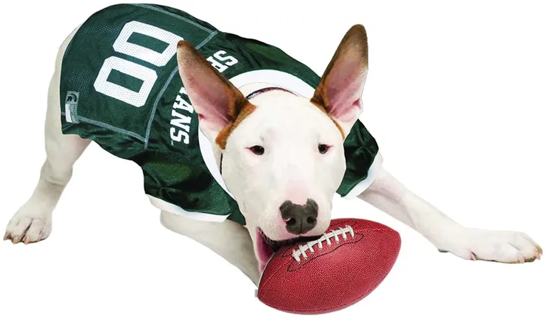Pets First Michigan State Mesh Jersey for Dogs Photo 4