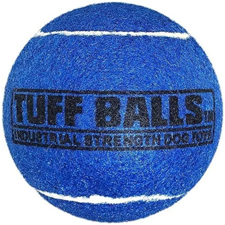 Petsport Tuff Ball Dog Toy Blue Photo 2