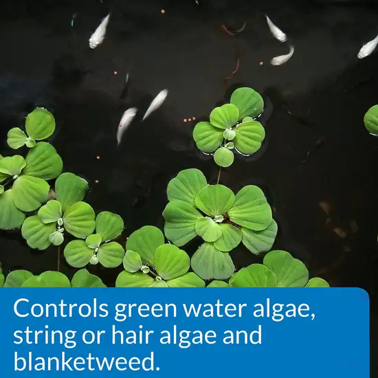 PondCare AlgaeFix Algae Control for Ponds Photo 2