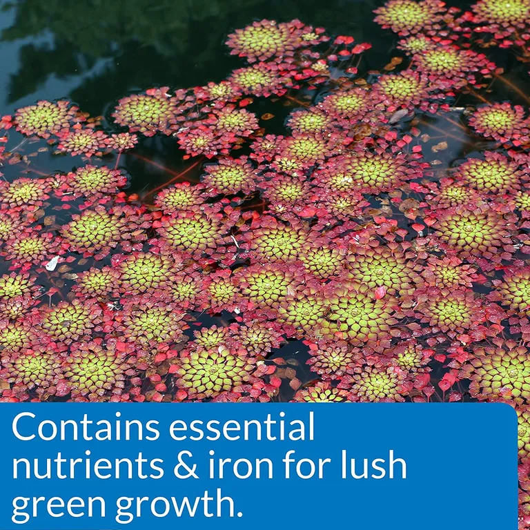 PondCare Aquatic Plant Food Tablets Photo 5