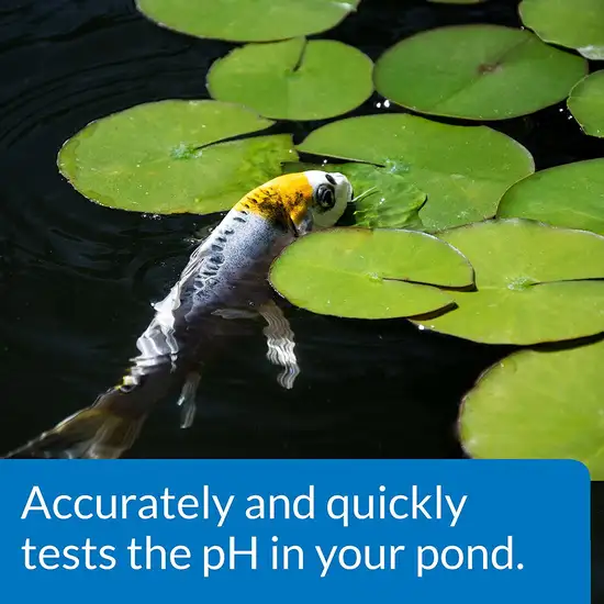 PondCare Liquid Wide Range pH Test Kit Photo 5