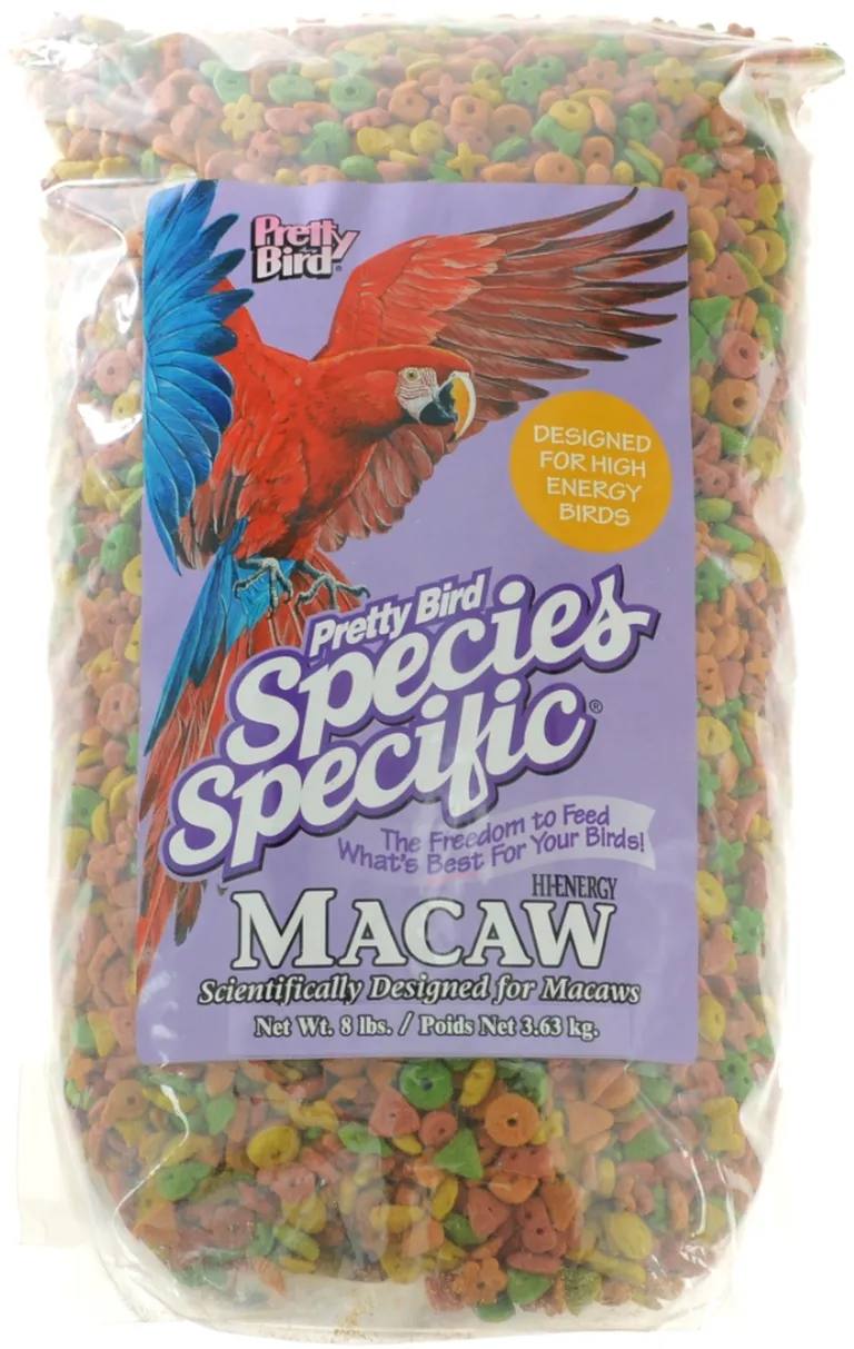 Pretty Bird Species Specific Hi Energy Macaw Photo 1