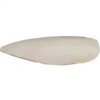 Photo of Prevue Cuttlebone Birdie Basics Small 4