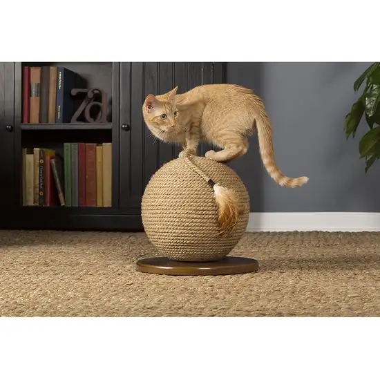 Prevue Pet Kitty Power Paws Sphere Scratching Post Photo 3