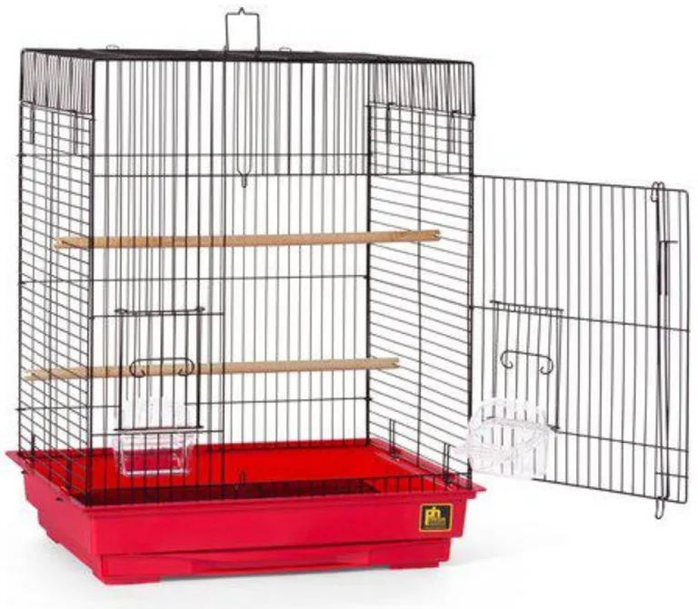 Prevue Square Top Bird Cage Photo 4