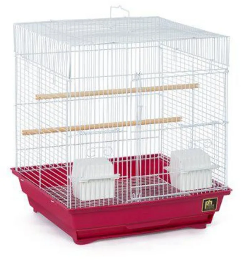 Prevue Square Top Bird Cage Photo 4