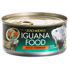 Reptile Iguana Food