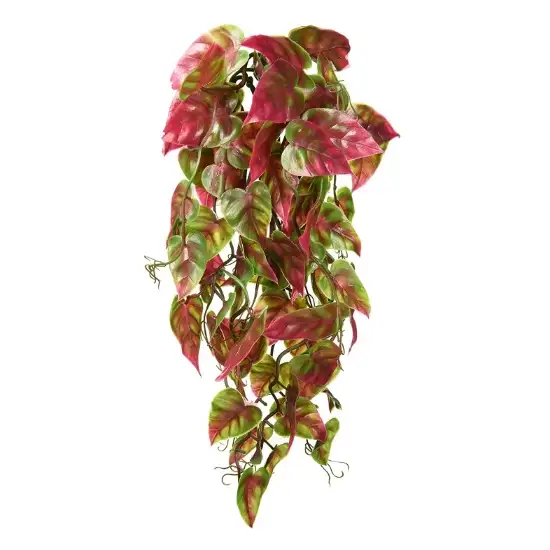 Reptology Climber Vine - Red/Green Photo 2