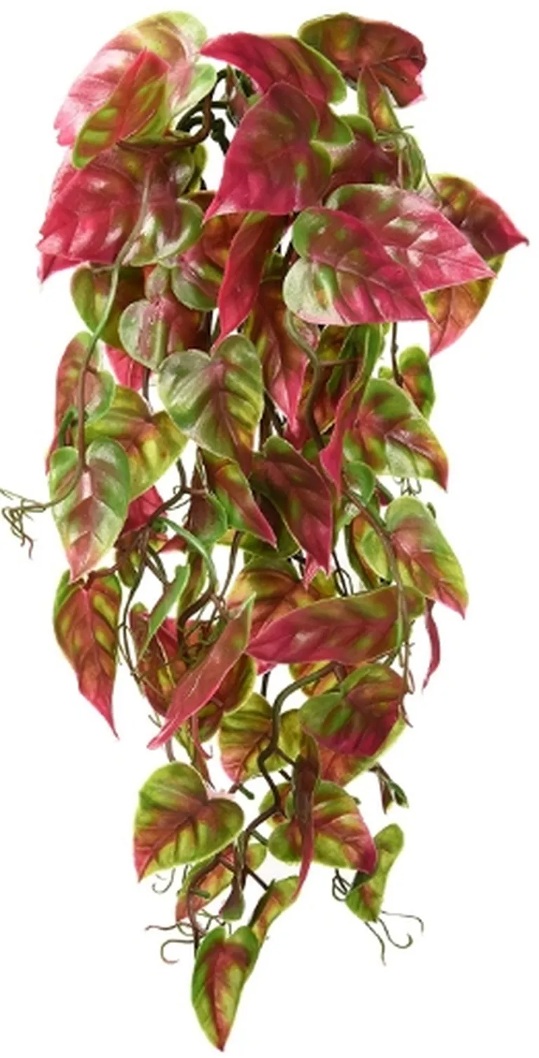 Reptology Climber Vine - Red/Green Photo 2