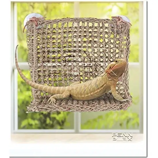 Reptology Lizard-Lounger Sun-Lover Basking Platform Photo 5