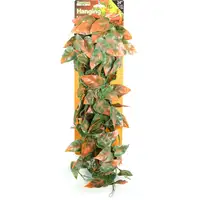 Photo of Reptology Reptile Hanging Vine Green and Brown