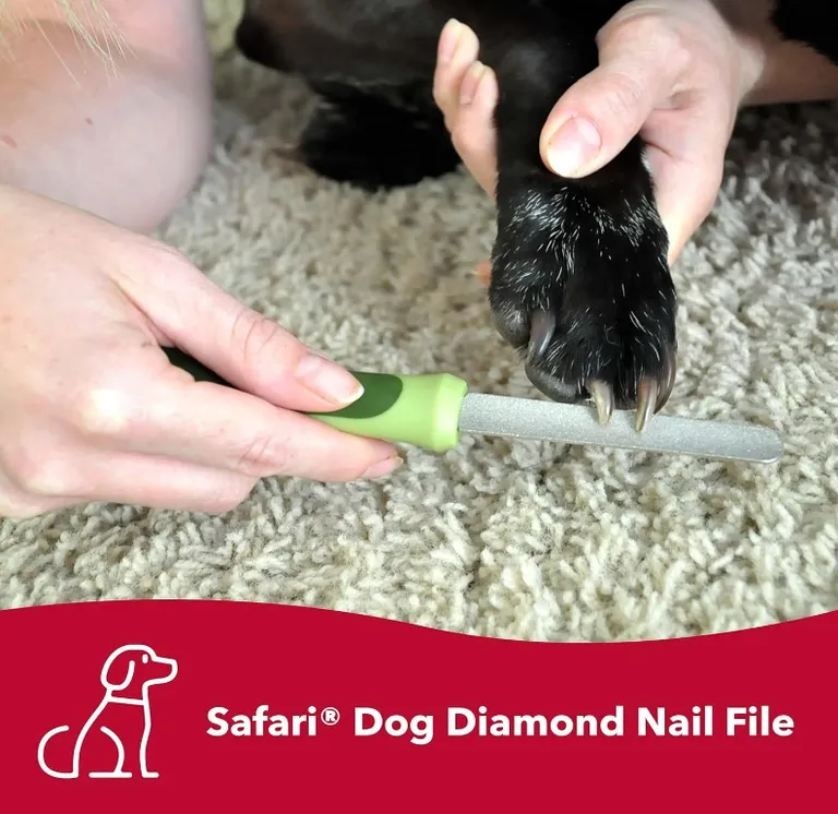 Safari Dog Diamond Nail File Photo 1