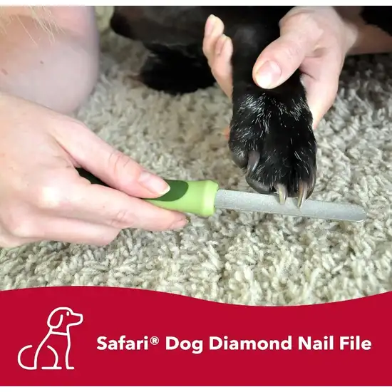 Safari Dog Diamond Nail File Photo 2