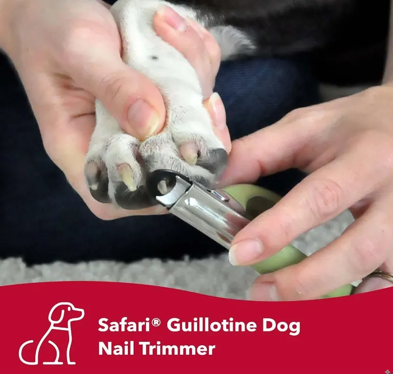 Safari Guillotine Nail Trimmer for Dogs Photo 2