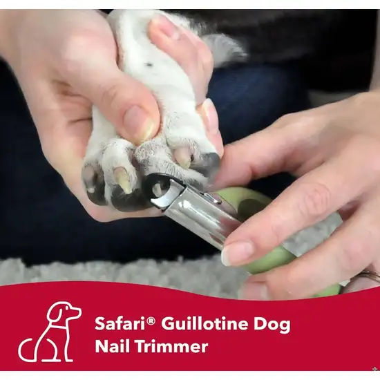 Safari Guillotine Nail Trimmer for Dogs Photo 2