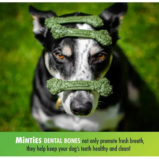 Sergeants Minties Dental Treats for Dogs Medium Large Photo 3